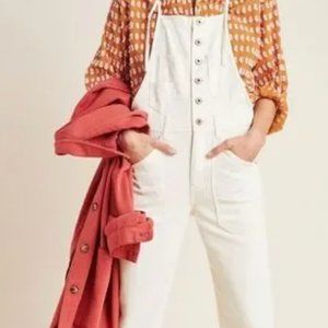 Anthropologie Pilcro Painters Overalls Size 29